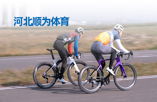 河北順為體育